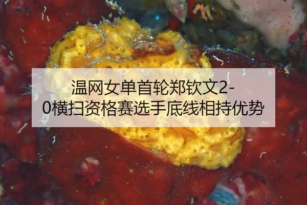wen-wang-nv-dan-shou-lun-zheng-qin-wen-heng-sao-zi-ge-sai-xuan-shou-di-xian-xiang-chi-you-shi-3-566.jpg