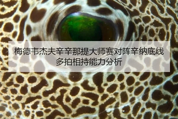 mei-de-wei-jie-fu-xin-xin-na-ti-da-shi-sai-dui-zhen-xin-na-di-xian-duo-pai-xiang-chi-neng-li-fen-xi-2-255.jpg