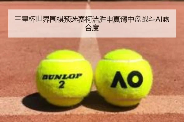 三星杯世界围棋预选赛柯洁胜申真谞中盘战斗AI吻合度