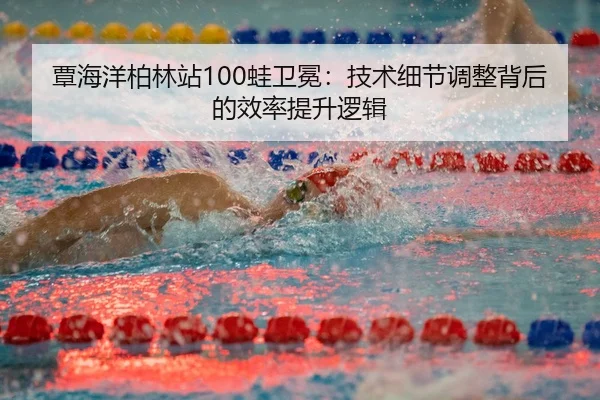 tan-hai-yang-bo-lin-zhan-wa-wei-mian-ji-shu-xi-jie-tiao-zheng-bei-hou-de-xiao-lv-ti-sheng-luo-ji-3-653.jpg